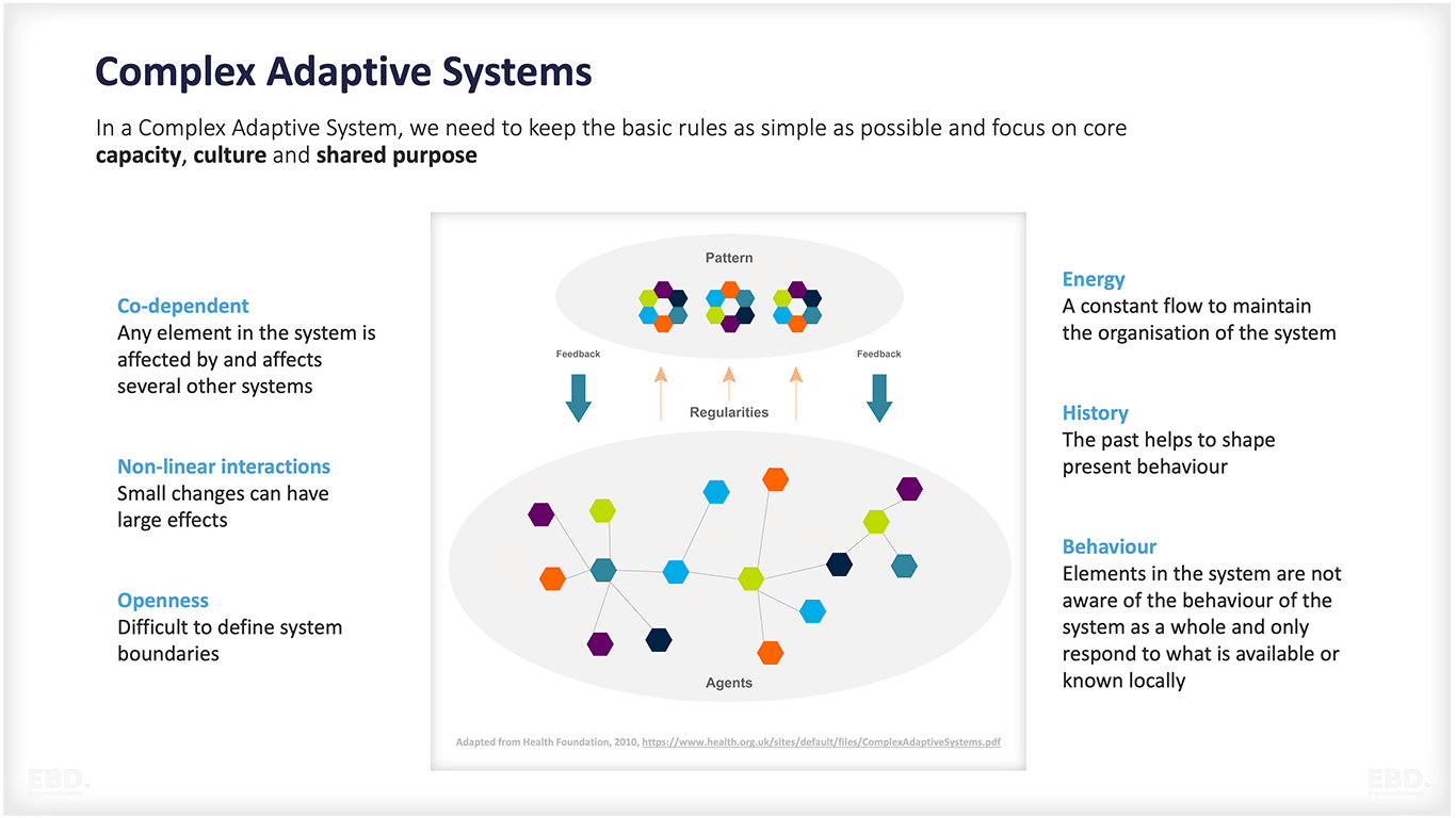 complex-adaptive-systems-health-outcomes-health-economics