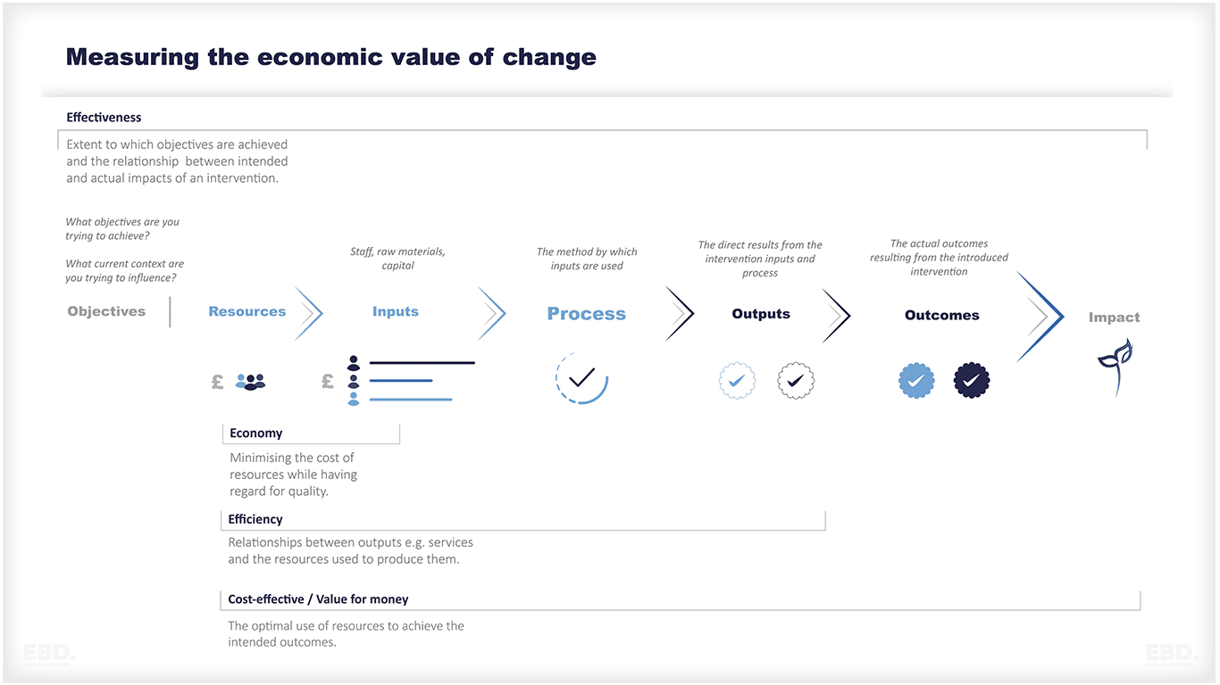 health economist economic evaluation logic model